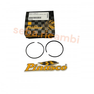 COPPIA SEGMENTI 46 FASCE...