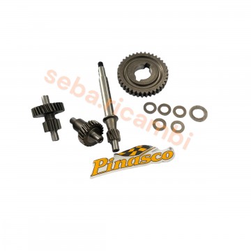 KIT INGRANAGGI PINASCO 11,9...