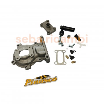 CARTER LAMELLARE PINASCO...