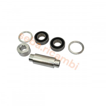 KIT PERNO ASSE A CUSCINETTI...
