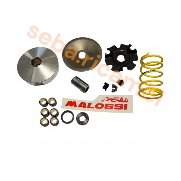 KIT VARIATORE MULTIVAR...