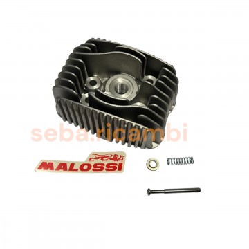 TESTA TESTATA 43 IN...