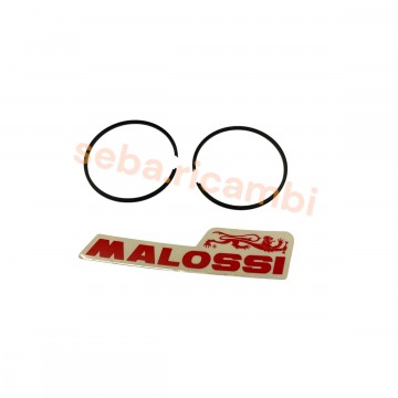 COPPIA SEGMENTI 43 x 1,5...