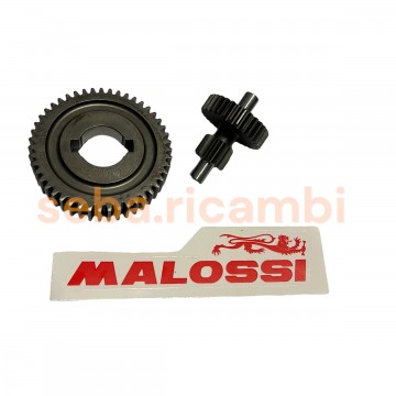 INGRANAGGI MALOSSI...