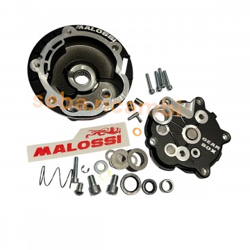 KIT GUSCI MOZZO VARIATORE...