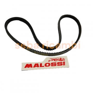 CINGHIA DENTATA MALOSSI X...