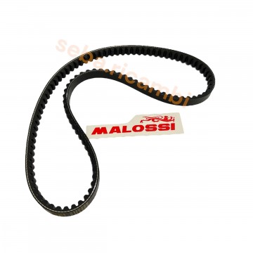 CINGHIA X SPECIAL BELT...