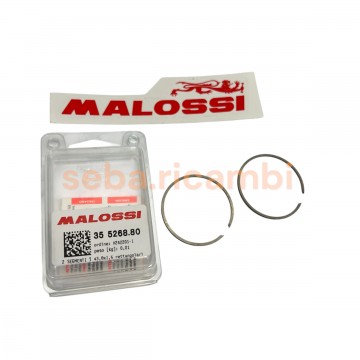 COPPIA SEGMENTI 43,8 x 1,5...