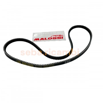 CINGHIA X SPECIAL BELT...