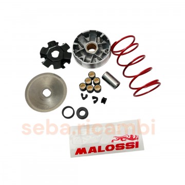 KIT VARIATORE MULTIVAR MHR...