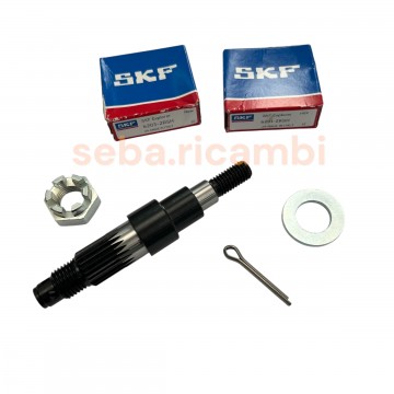 KIT REVISIONE ASSE RUOTA...