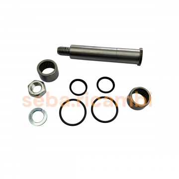 KIT REVISIONE PERNO...