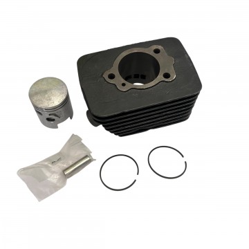 MOTORE GRUPPO TERMICO 65 cc...