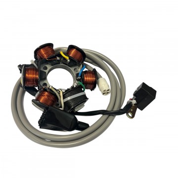 STATORE ELETTRONICO A 6...