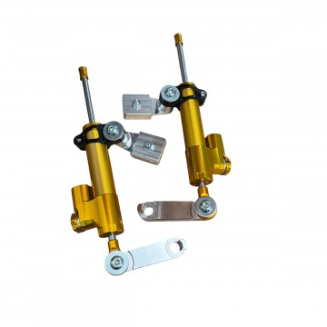 COPPIA AMMORTIZZATORI...