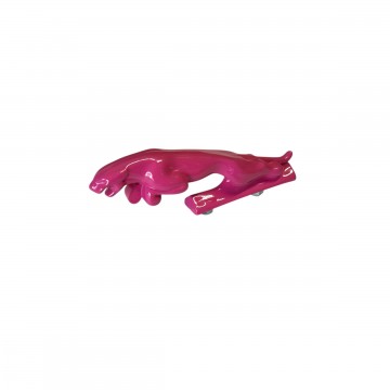 GIAGUARO GIAGUARINO ROSA...