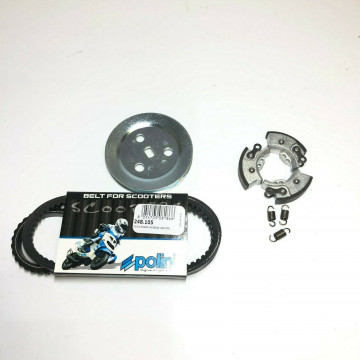 CINGHIA DENTATA POLINI +...