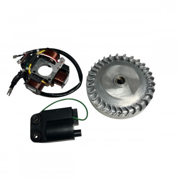 KIT VOLANO E STATORE...