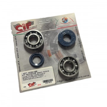 KIT REVISIONE ALBERO CARTER...