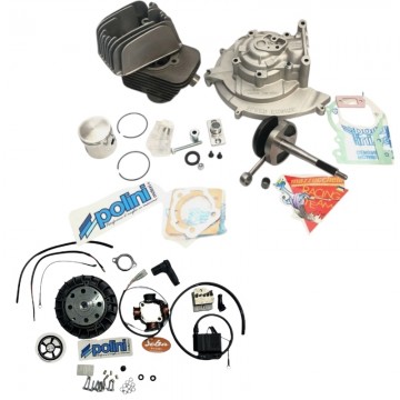 KIT ELABORAZIONE POLINI...