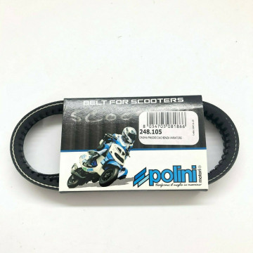 CINGHIA DENTATA POLINI...