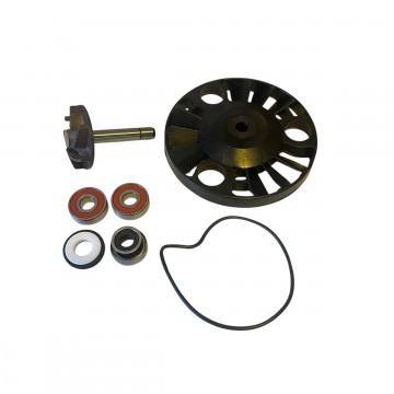 KIT REVISIONE POMPA ACQUA...