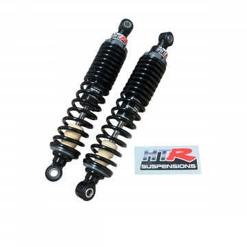 COPPIA AMMORTIZZATORI INT....