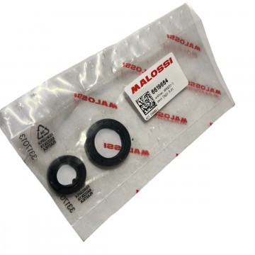 KIT COPPIA DI PARAOLI PER...