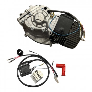 MOTORE ASSEMBLATO POLOSSI 4...