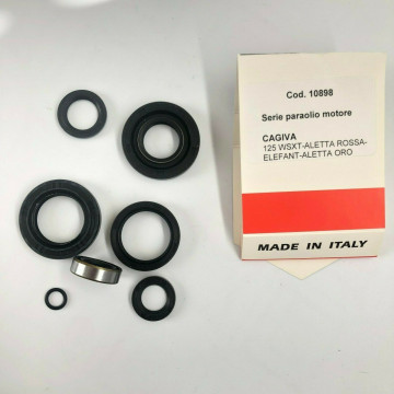 KIT REVISIONE PARAOLI...