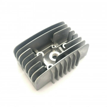 TESTA TESTATA POLINI D....