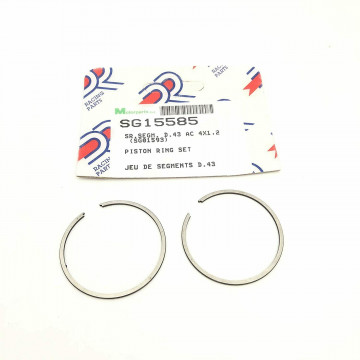 COPPIA FASCE ELASTICHE PER...