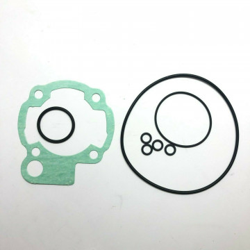 KIT GUARNIZIONI POLINI...