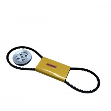 CINGHIA DENTATA ALTA...