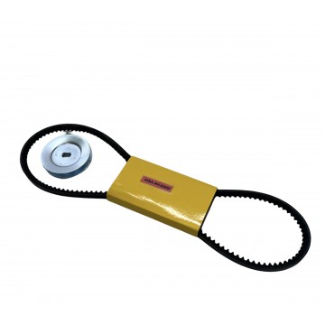 CINGHIA DENTATA ALTA...