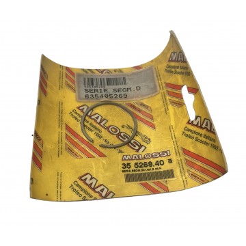 FASCIA SEGMENTO MALOSSI...