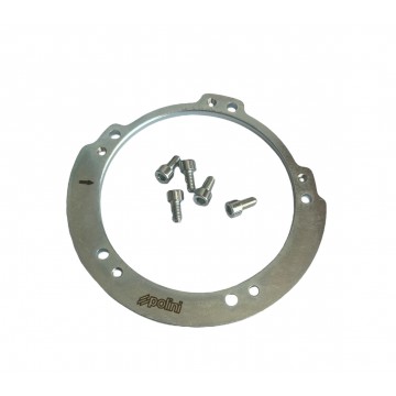 MASSA VOLANICA POLINI...