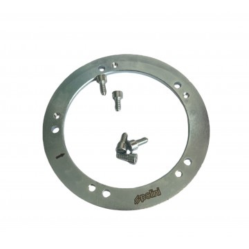 MASSA VOLANICA POLINI...