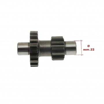 INGRANAGGIO DUPLO...