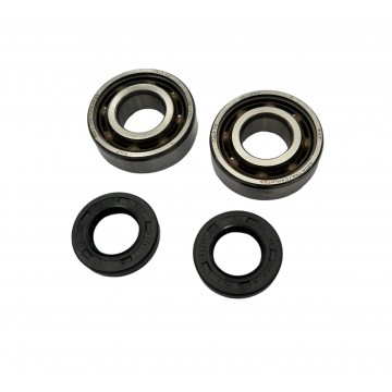 KIT REVISIONE ALBERO MOTORE...