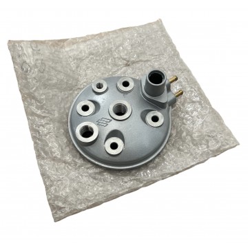 TESTATA TESTA POLINI...