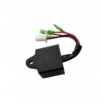 CENTRALINA ELETTRONICA...