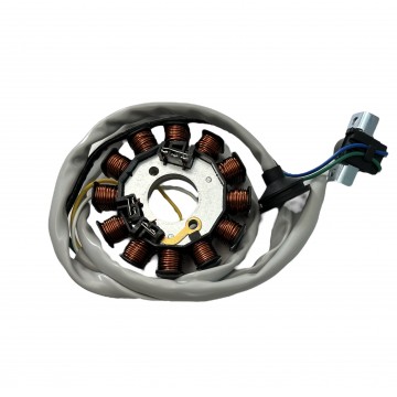 STATORE A 12 POLI...